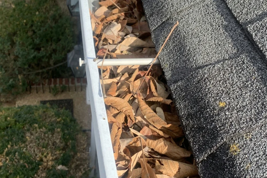 Gutter Cleaning Lake Buena Vista FL