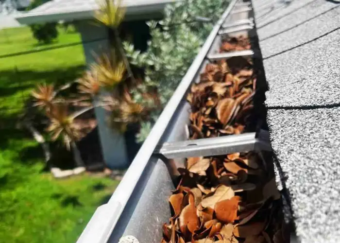 Gutter Cleaning Lake Buena Vista FL home page